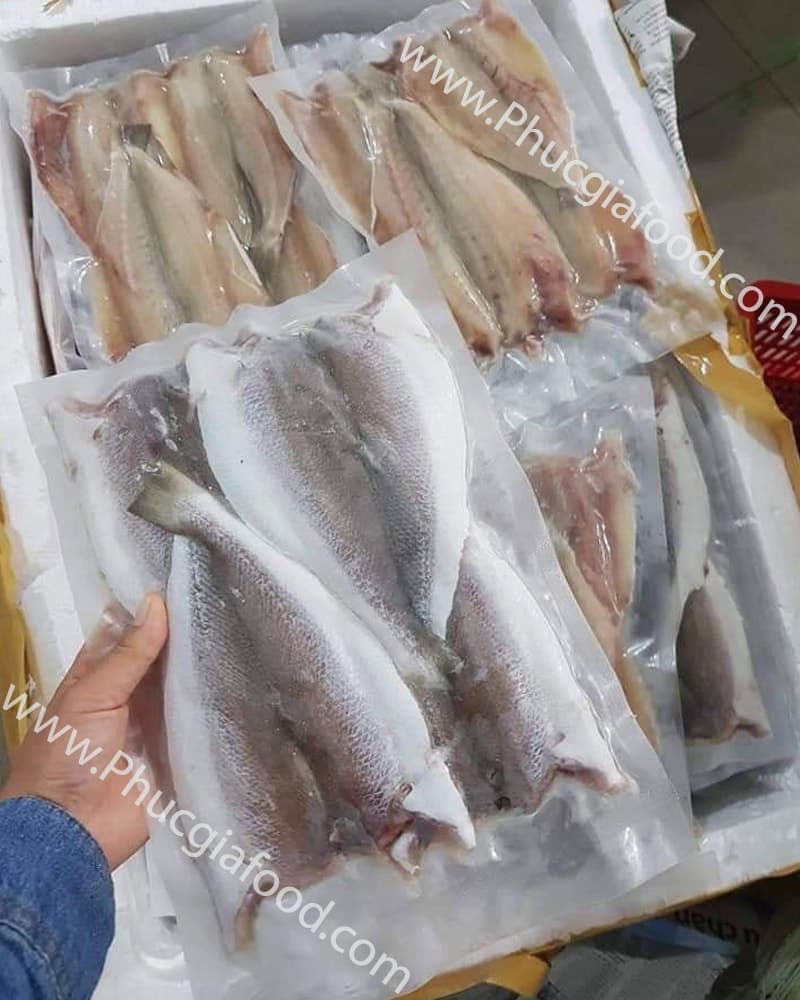 Đại lý chuyên sỉ lẻ báo giá bán cá đù một nắng uy tín nhất